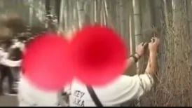 京都岚山竹林惨遭游客刻字 日电视曝光大马观光客不文明行为