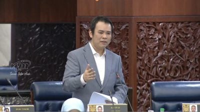 令吉走势强没暴跌 张哲敏：大马没失败