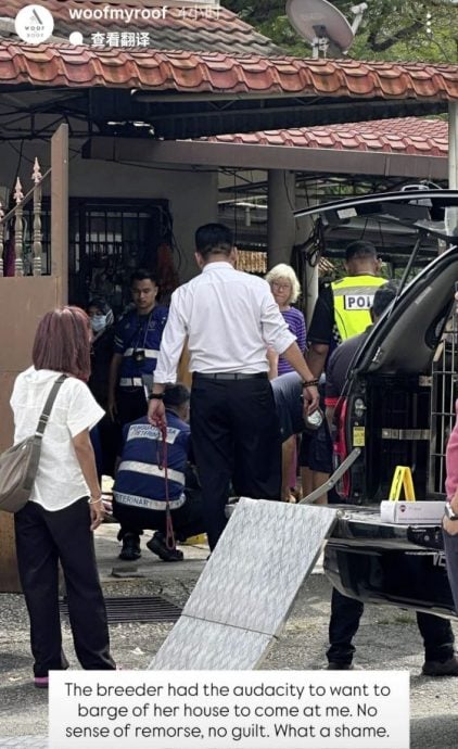 以领养代替购买,杜绝繁殖场黑心作业