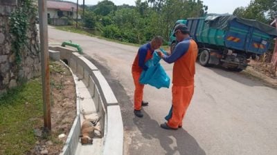 万茂新村数周多只流浪狗中毒亡 村长：不爱也别伤害！