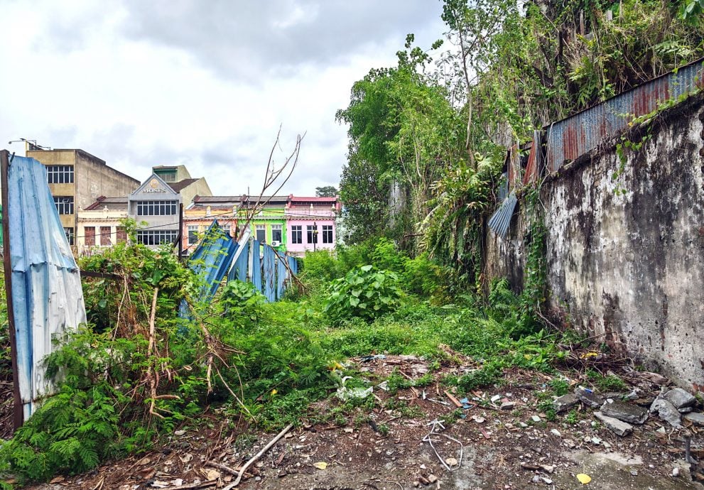 供星洲网/芙蓉市动员180人全城大扫除 迎接森州2026旅游年