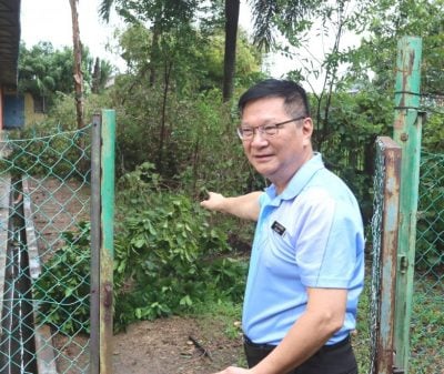 强风直扑波中 校园树木连根倒下 张永庆：让学生上一堂真实的灾后重建课