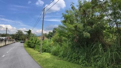 武吉亚沙住宅区荒废单位丛生 大蛇出没居民忧心安全