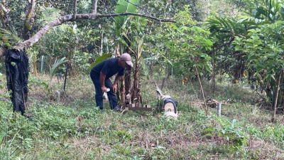 淡边甘榜斯里乐巴疑再现黑豹踪迹 6只家犬夜间失踪