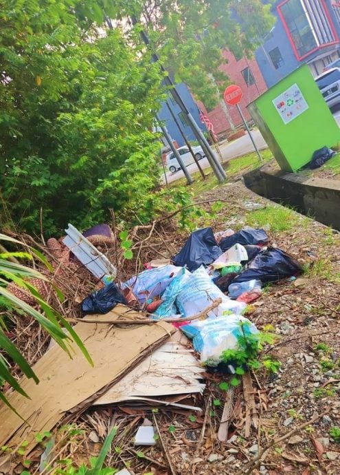 供星洲网:芙蓉多处沦为“垃圾黑区” 芙蓉市议员庄雪和:严罚垃圾虫 最高罚10万或监禁5年