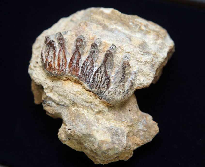 保护天然资源 制近打谷地质公园管理蓝图