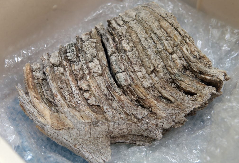 保护天然资源 制近打谷地质公园管理蓝图