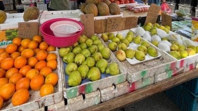 槟卫局：加快消化系统入状态   饭前吃水果 肠道更健康