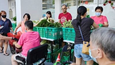 每周免费派发蔬菜   狮城邻里再现甘榜精神