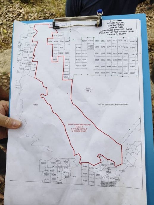 全国：（未签发）又一新集团染指非法榴梿芭，血汗付诸东流芭主无奈