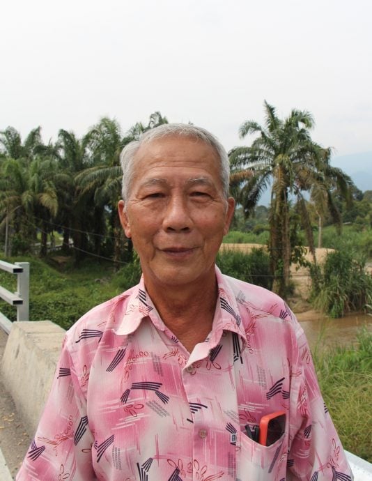 全国：（未签发）又一新集团染指非法榴梿芭，血汗付诸东流芭主无奈