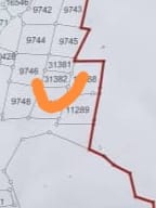 全国：（未签发）又一新集团染指非法榴梿芭，血汗付诸东流芭主无奈