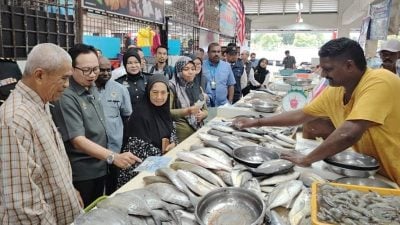 内贸局：没受水灾影响 霹粮应供应足够　