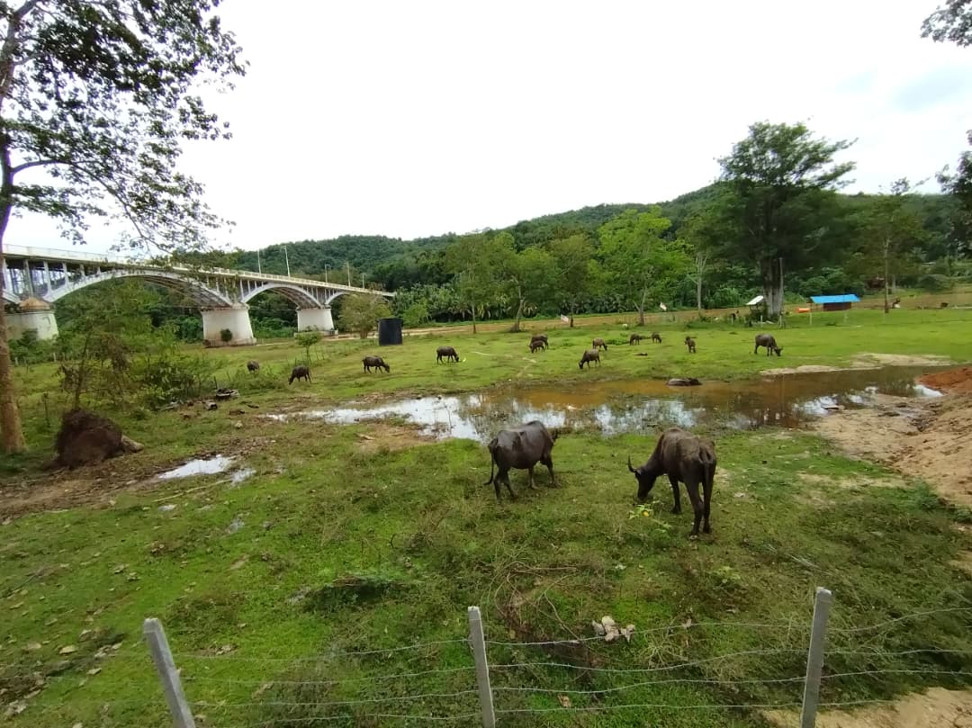 勿信泄洪谣传 阿兹祖:上霹水坝一切正常