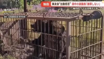 北海道积丹町熊患未平 负责捕熊的猎友会因副议长霸凌而拒绝出动
