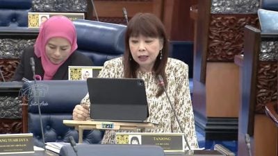 BUDI95补贴提升至800公升　林慧英:本月3万电召车司机受惠