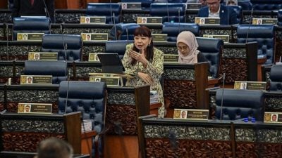 财政部检讨电召车司机补贴机制 林慧英：新方案最快本周公布