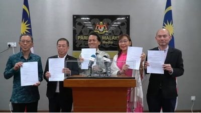 隆7后座员呈私人法案　促落实市议员制取代市长任命