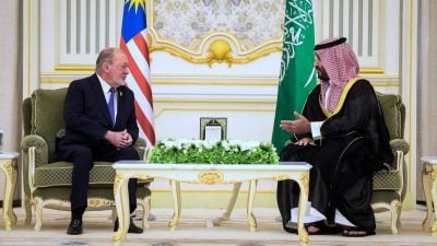 拓展两国合作  元首会晤沙地王储