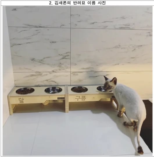 受不了金秀贤律师频出面洗白 金赛纶母公开新证据打脸