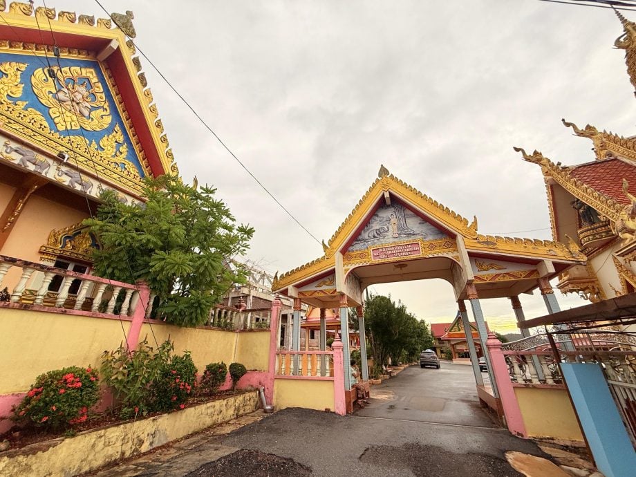 吉打新村系列·第四篇 | 从养牛往事到葡萄满园 巴东伦武见证“牛场”新生