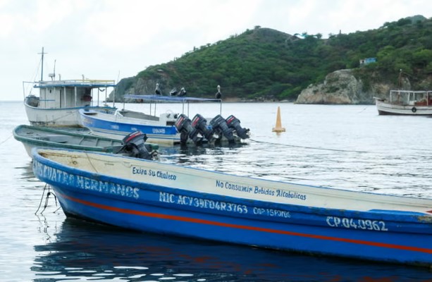 哥伦比亚空袭疑涉毒武装团体 7名未成年人丧生