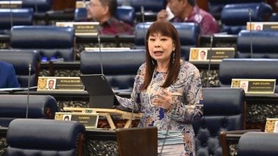 林慧英：2019推行以来  180万人受惠mySalam