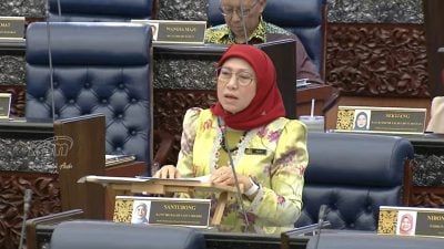 妇女部：公私机构规范化   审查社工法草案