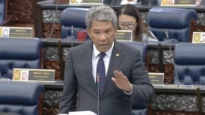 末哈山：成伙伴国已足够  当全面金砖国须谨慎