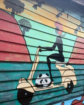 在姓周桥擅画熊猫　女游客被网民骂“挑战大马法律”