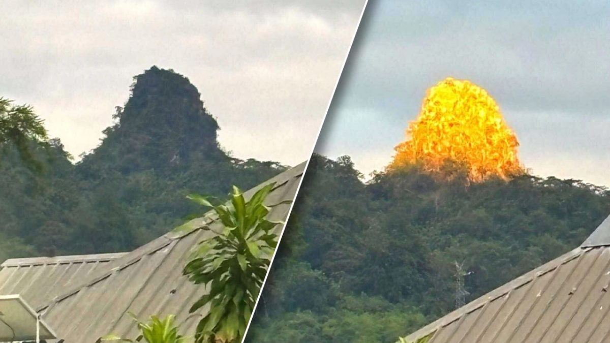 夕阳倾洒山体 普通山峰变“金山”
