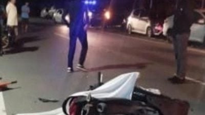 牛只突冲出马路  女骑士闪避不及摔车亡