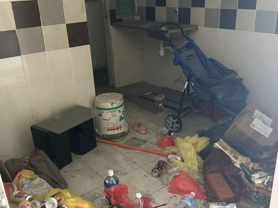 大都会-余保凭/人民组屋出售计划搁置