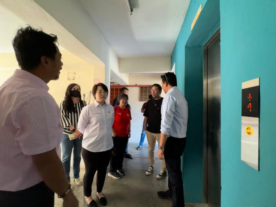 大都会-甲洞逸福园全面换新电梯