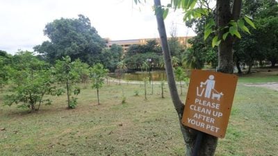 嘉玛莉亚：争议待厘清   狗狗公园暂不拆