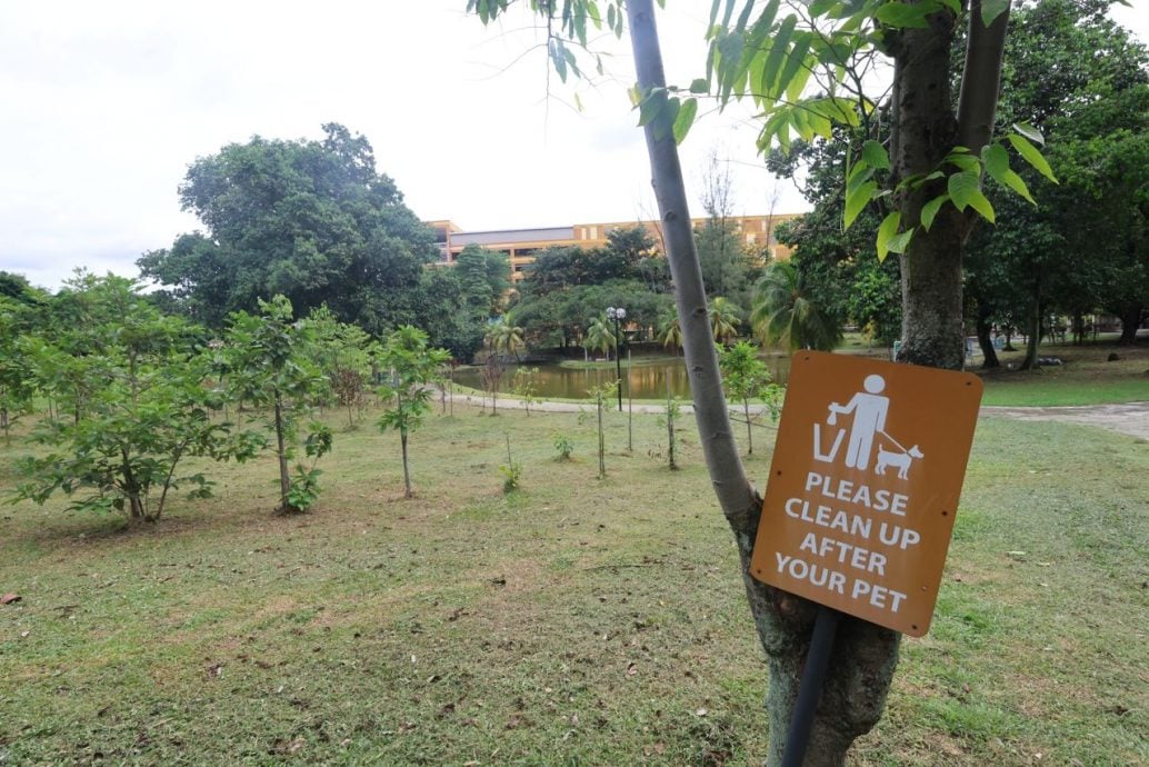 大都会/中央公园狗设施暂缓拆除