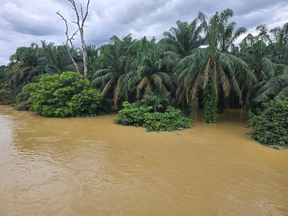 大都会:乌鲁安南灾民人数增/3图