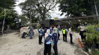 双溪毛糯医院一带   21花圃占地开业被取缔