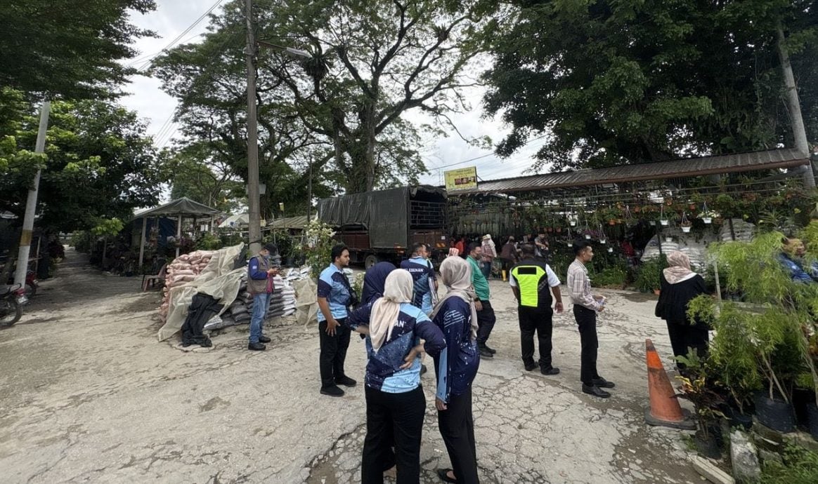 大都会:双溪毛糯22花圃与商店被取缔/4图