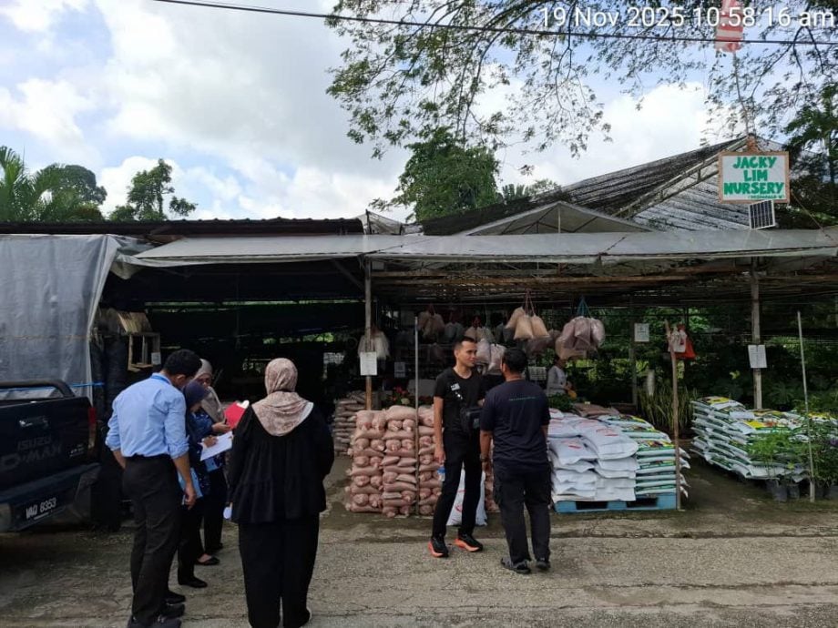 大都会:双溪毛糯22花圃与商店被取缔/4图