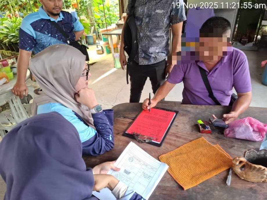 大都会:双溪毛糯22花圃与商店被取缔/4图