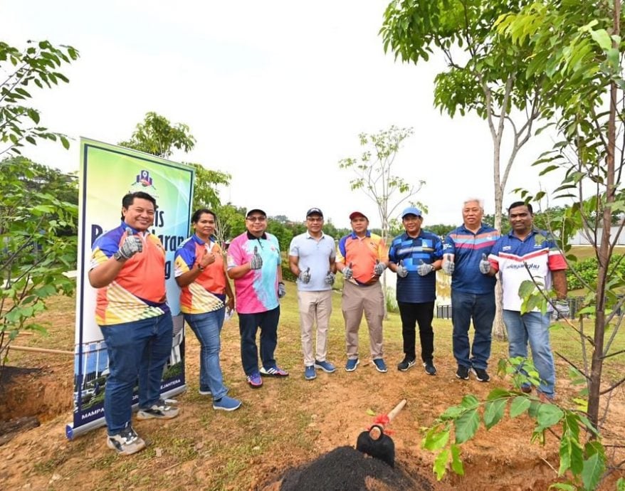 大都会:士拉央市议会承诺年种10万树/3图