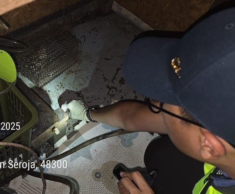 大都会:封3餐馆开22张罚单/6图