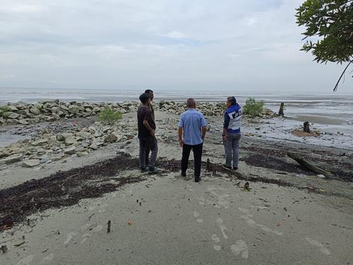 大都会封面主文/丹绒士拔海堤获790万拨款修复提升