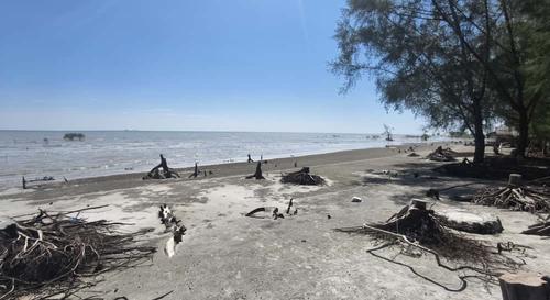 大都会封面主文/丹绒士拔海堤获790万拨款修复提升