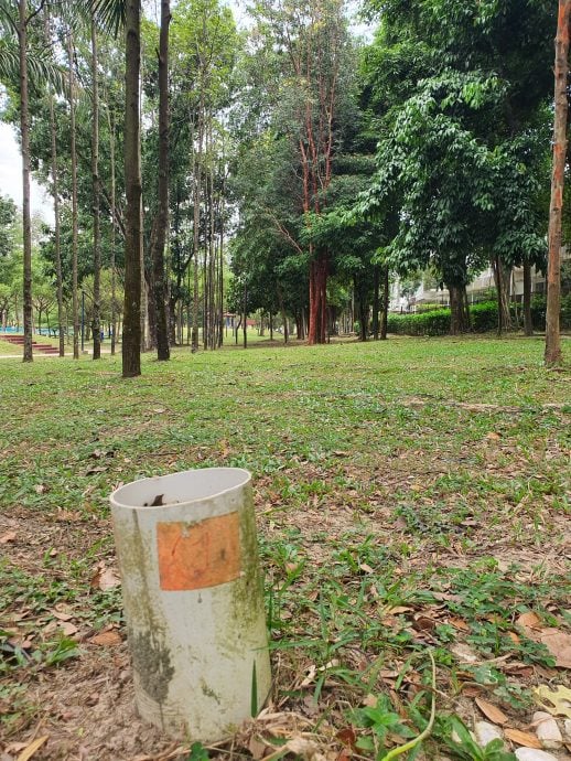 大都会/封面主文/阿拉白沙罗公园成飞盘运动热门场所/10图