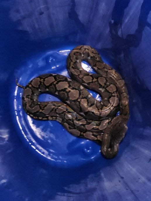 大都会封面/水灾“杀”到,居民高地泊车,SPM考生坚持应考