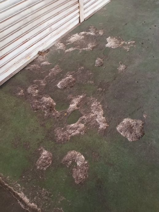 大都会封面/迪莫路小贩中心将拆重建