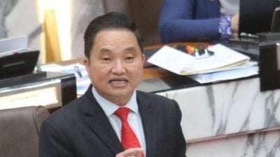 雪州议会 | 黄瑞林：雪全力配合旅游年   鼓励售票景点推团体配套