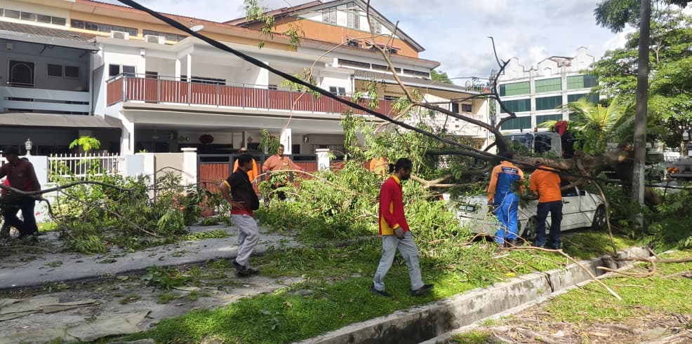 大都会/巴生再发生大树枝桠砸中轿车事故！